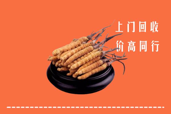 高价求购：郴州市嘉禾县回收散虫草