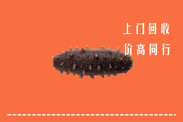 高价求购：郴州市嘉禾县回收海参