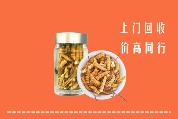 郴州市嘉禾县回收冬虫夏草